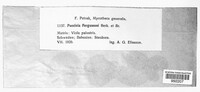 Puccinia fergussonii image